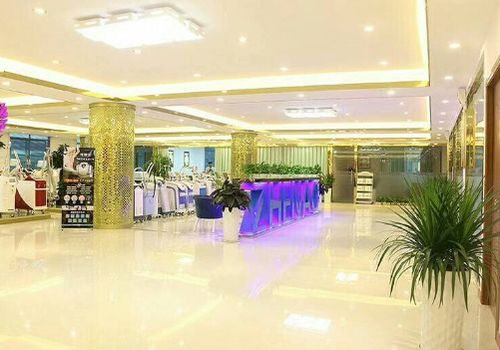 为何全国100万家美容院都选择广州震澳定制美容仪器？专业人士揭晓答案